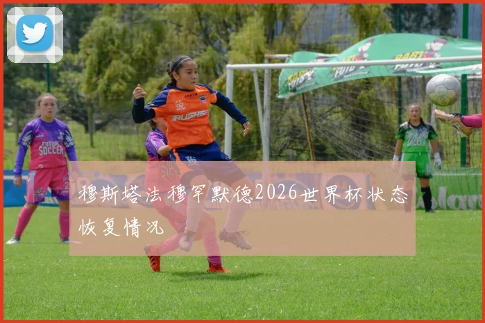 穆斯塔法穆罕默德2026世界杯状态恢复情况