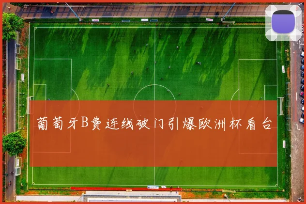 葡萄牙B费连线破门引爆欧洲杯看台