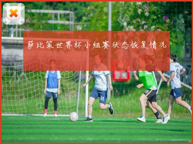 萨比策世界杯小组赛状态恢复情况