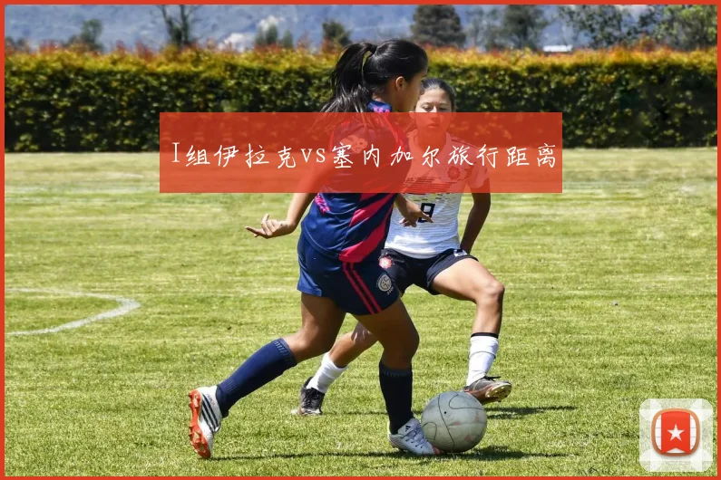 I组伊拉克vs塞内加尔旅行距离