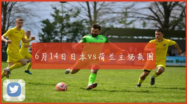 6月14日日本vs荷兰主场氛围