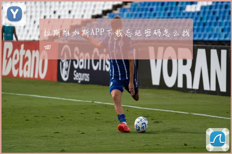 拉斯维加斯APP下载忘记密码怎么找回
