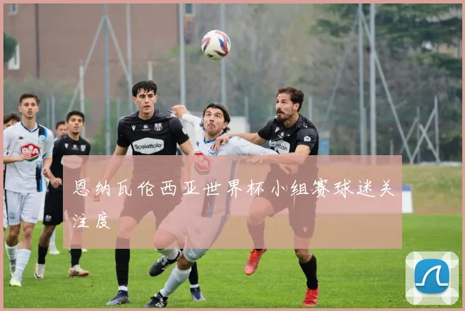 恩纳瓦伦西亚世界杯小组赛球迷关注度